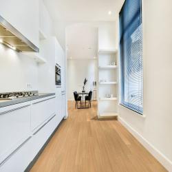 deluxe dub natural premium kuchyba